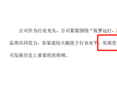 营收101元、原材料增千万倍？老板电器财报错误频出，信永中和年收83万审计费