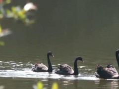 百姓以“滴水穿石、人一我十”精神重现绿水青山