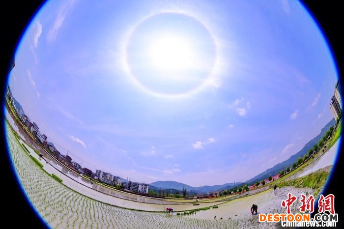 日晕，又叫圆虹，一种大气光学现象，是日光通过卷层云时，受到冰晶的折射或反射而形成的。 朱海鹏 摄
