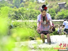 贵州从江：“云上”谷雨节 欢乐上“云端”