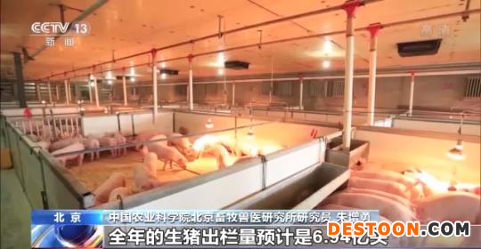 《中国农业展望报告》发布：今年蔬菜水果肉类供应总体有保障