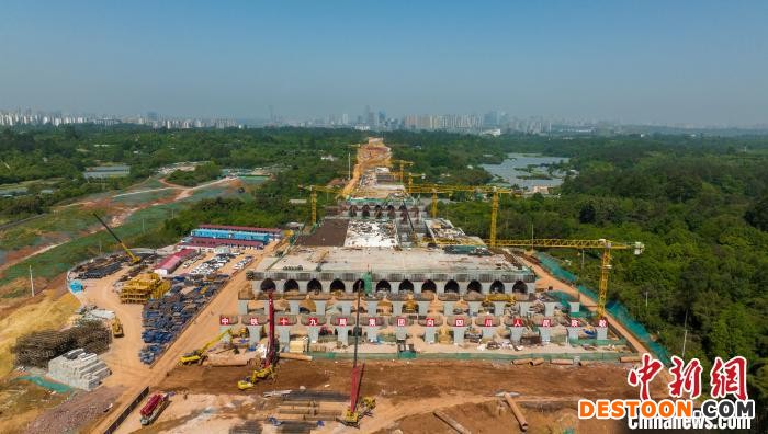 加紧施工建设的天府站多线桥。 刘忠俊 摄