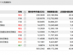 重仓赛道股突遭“倒春寒”！基金经理的新能源信仰还在吗？