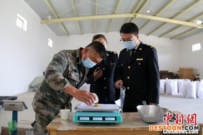 甘肃外繁种子首季出口40多个国家或地区同比增长逾四成