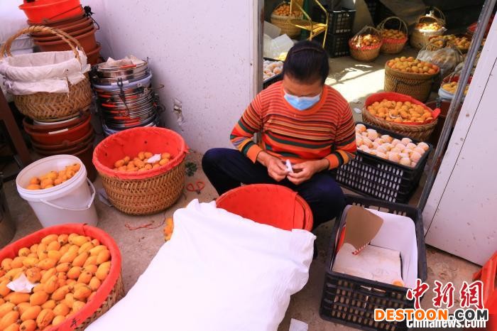 各地枇杷已陆续成熟上市，成为市民果篮里的又一“新宠”。 张莉 摄