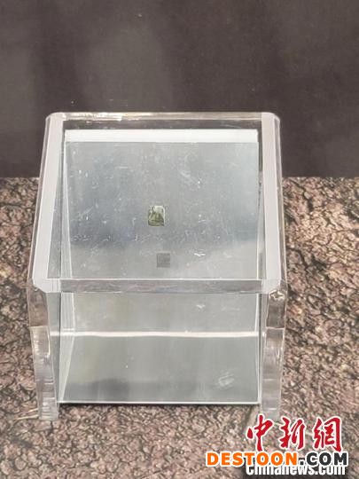 图为展出的铜印。 阿琳娜 摄