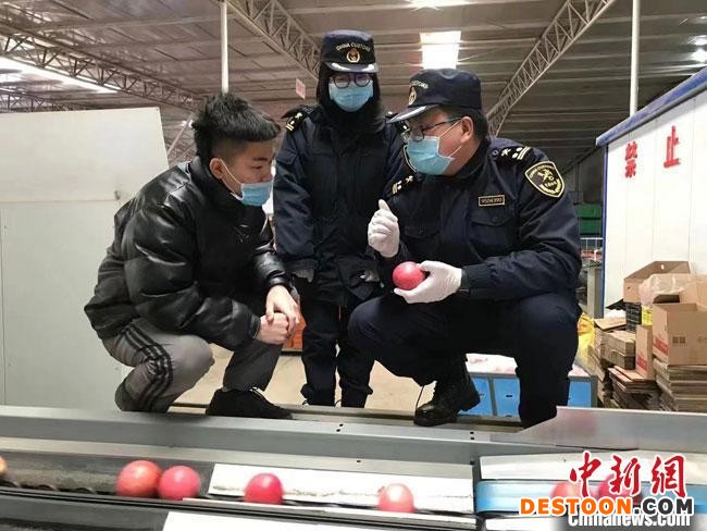 甘肃特色农产品多渠道拓国际市场成外贸进出口新增长点