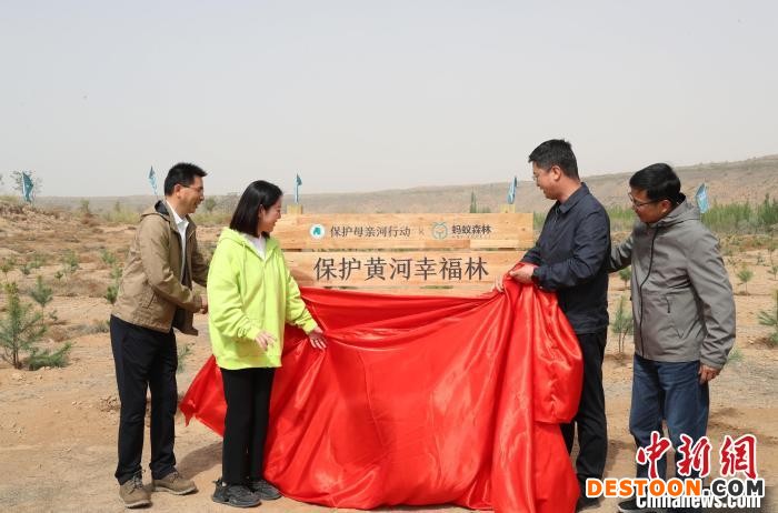“保护黄河幸福林”生态修复项目在宁夏中卫启动。 于晶 摄