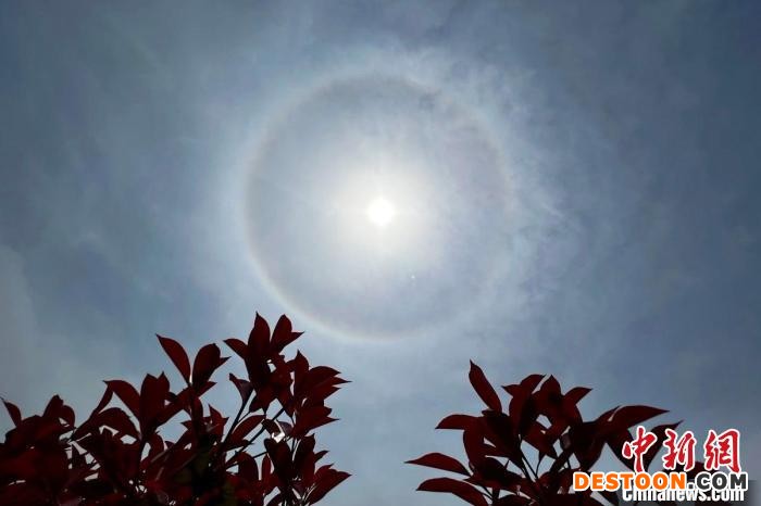 南京上空现迷人光圈。 泱波 摄