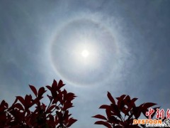 南京上空现日晕 彩色光圈迷人