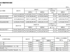 中国中免全年净利增近六成 免税商品销售收入涨33%