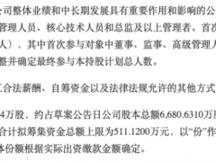 石头科技净利5年首降，骨折激励计划拢人心？
