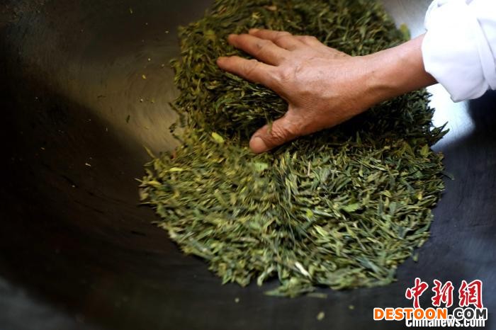 制茶师正在炒制日照绿茶。 乔祥明 摄