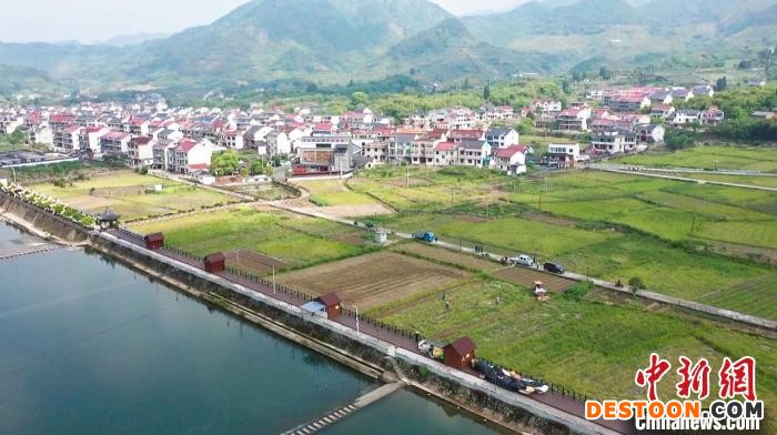 袁隆平生态水稻试验田。 白洋供图