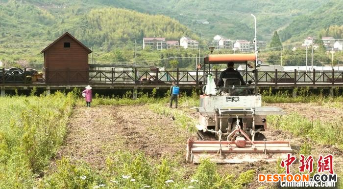 袁隆平生态水稻试验田迎来春耕忙。 白洋供图