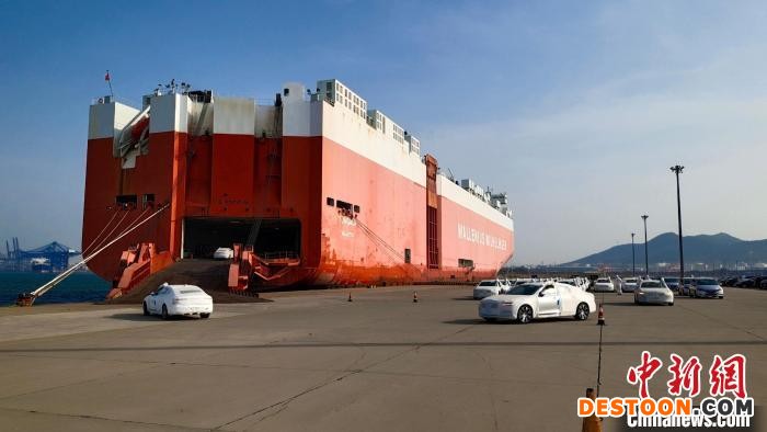 图为45辆沃尔沃S90型商品车，21日在大连汽车码头顺利装船出海。 刘仁超 摄