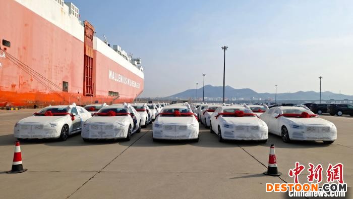 图为45辆沃尔沃S90型商品车，21日在大连汽车码头顺利装船出海。 刘仁超 摄