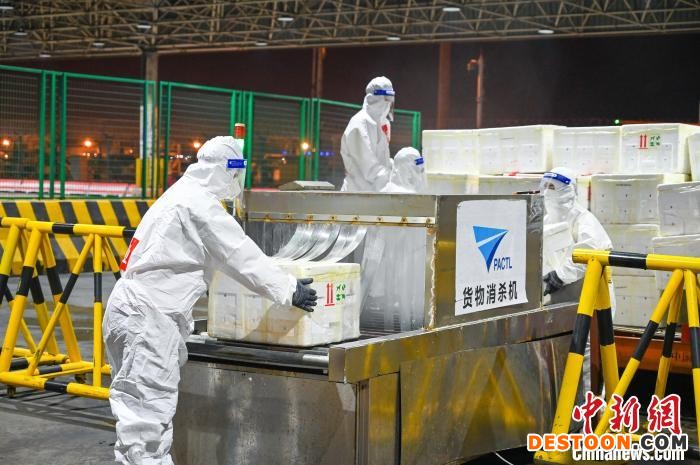 “绿色通道”机制可实现优先消杀、优先理货、优先分拨、优先提货。 上海机场集团供图