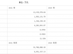 宁德时代发布2021年财报：毛利率下滑，二级市场退烧