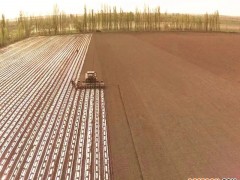 超薄甜菜专用全生物降解地膜在新疆多地示范推广