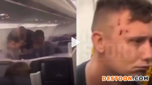 尚能饭否？能！能！能！拳王泰森飞机上暴揍醉酒男