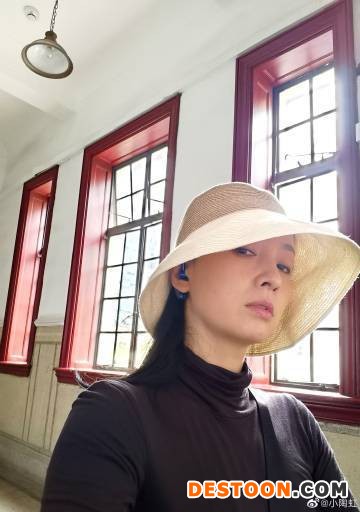 陶虹资本版图盘点 此前已要求从张庭夫妇公司退股