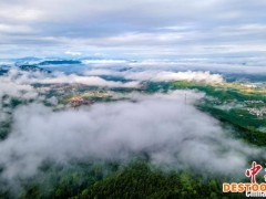 航拍江西新余仰天岗国家森林公园 雨后云蒸霞蔚美如画