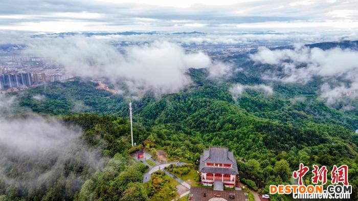 春雨洗礼后的仰天岗国家森林公园云雾缭绕、林木葱郁、翠竹如画，山谷幽幽。 伍荣达 摄