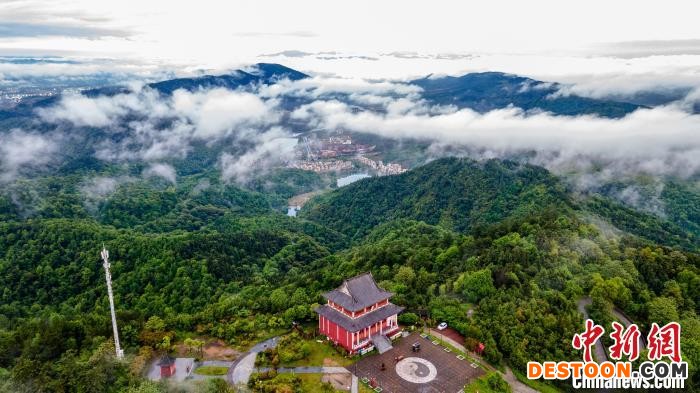 春雨洗礼后的仰天岗国家森林公园云雾缭绕、林木葱郁、翠竹如画，山谷幽幽。 伍荣达 摄