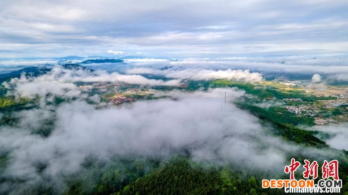 航拍春雨洗礼后的仰天岗国家森林公园云雾缭绕，壮美无比。 伍荣达 摄