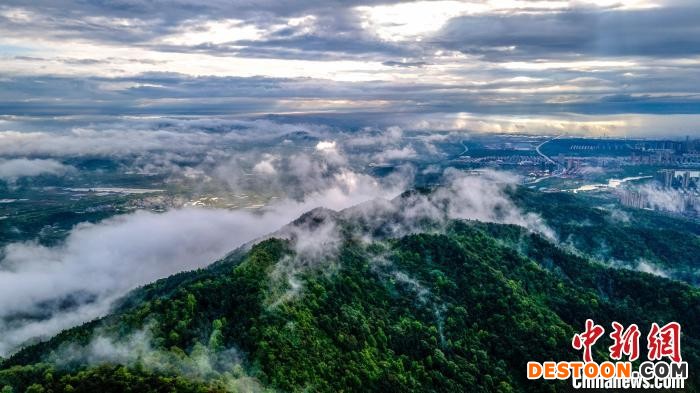 航拍春雨洗礼后的仰天岗国家森林公园云蒸霞蔚，近瞰城市高楼林立、街道纵横，远眺稻田波光、江水如练。 伍荣达 摄