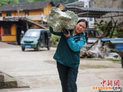 【十年@每一个奋斗的你】贵州大山里的“绿色使者”