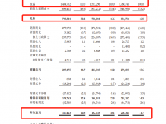 美丽田园递表港交所：去年退款及赔偿2190万，上市前突击分红1.2亿 能量仪器与注射服务人均消费近4万