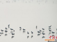 湖南久久为功 “守护好一江碧水” 湘江流域水质优良率达到98.7%