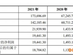 重庆润际远东新材料科技股份有限公司冲刺IPO：2021年营业收入倍速增长 经营业绩存在下滑50%可能性