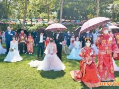 台湾苗栗桐花浪漫婚礼 36对新人喜结良缘