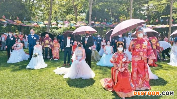 苗栗客家桐花婚礼昨在台湾苗栗县三义乡西湖渡假村举行，36对新人在桐花树下交换誓约。来源：台湾联合新闻网 记者胡蓬生 摄