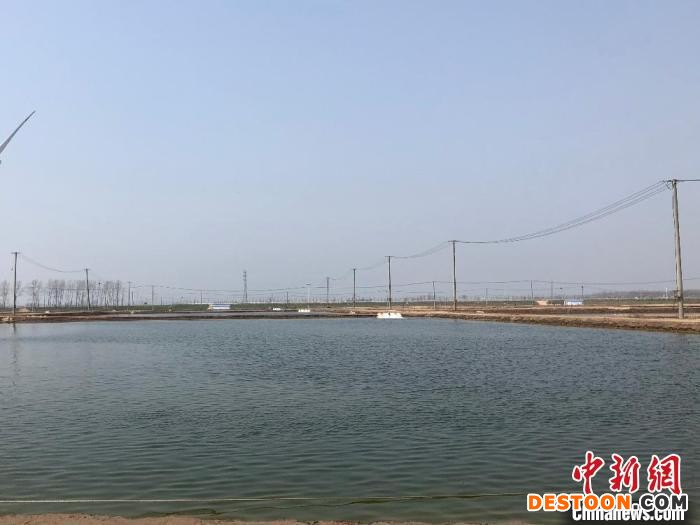 出水4小时黄金时间考验蟹苗运输