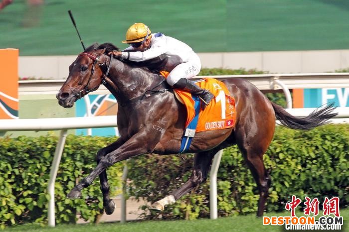 香港马王“金枪六十”刷新香港赛驹的头马纪录，并成为香港历来累积最多奖金的赛驹。 香港赛马会 摄