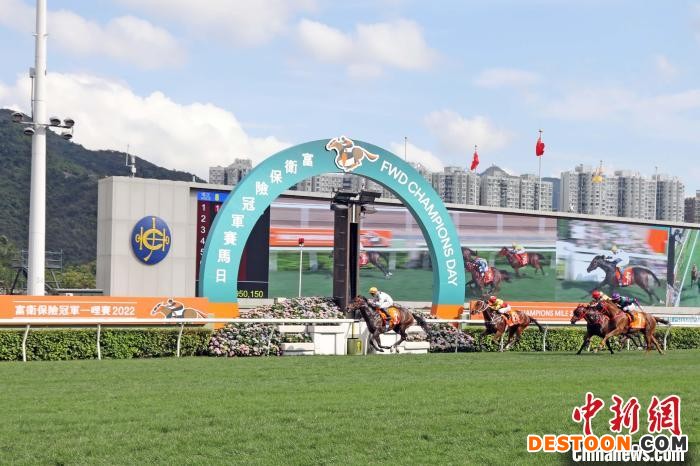 香港马王“金枪六十”成香港历来累积最多奖金赛驹