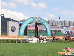 香港马王“金枪六十”成香港历来累积最多奖金赛驹