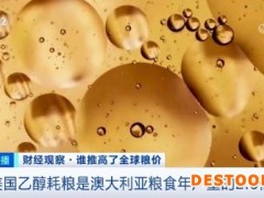 多国大批粮食变燃料！谁提高了全球粮价？