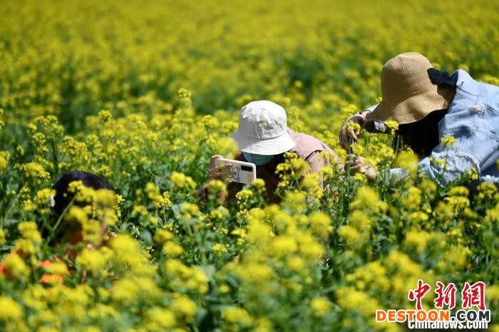 新疆巴州：美丽乡村正当时千亩花海迎客来