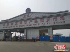 北京新发地。中新财经记者谢艺观 摄