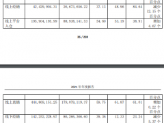 倍轻松去年净利9000万、销售费用5亿，增收不增利一季度净利转亏