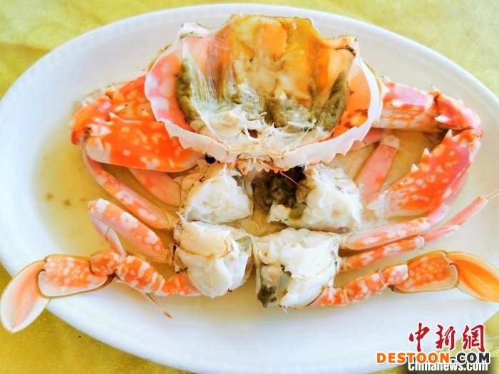 清蒸是烹制“飞机蟹”最能保持原汁原味的做法 李晓春 摄