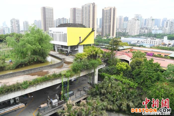 工厂楼顶打造的“农场”。 陈超 摄