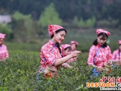 2022庐山国际名茶名泉博览会开幕 茶商茶企享文化盛宴（图）