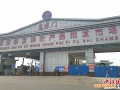 担心买不到菜？今天我们专门跑去北京新发地看了看