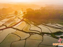 航拍江西吉安金色晨光照耀乡村 绘就一幅秀美田园画卷